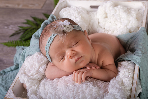 Harbor Newborn-5
