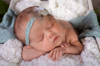 Harbor Newborn-2