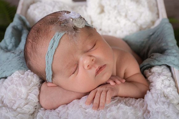 Harbor Newborn-2