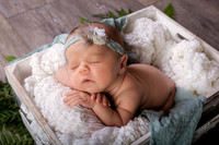Harbor Newborn-1