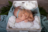 Harbor Newborn-3
