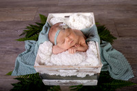 Harbor Newborn-4
