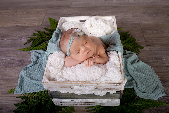 Harbor Newborn-4
