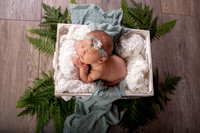 Harbor Newborn-6