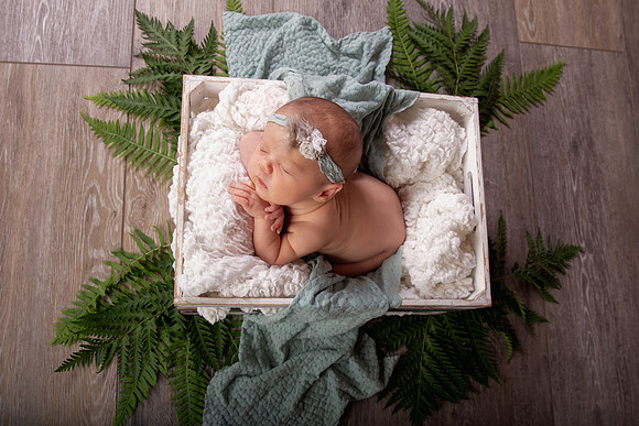 Harbor Newborn-6