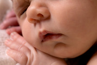 Harbor Newborn-13