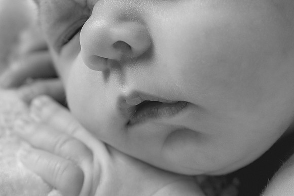 Harbor Newborn-13-2