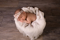 Harbor Newborn-12