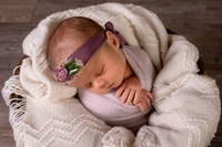 Harbor Newborn-17