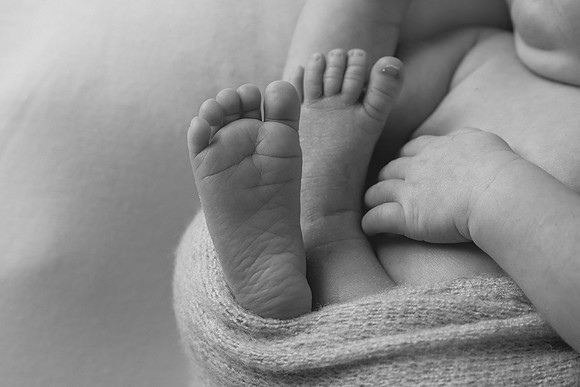 Harbor Newborn-24-2