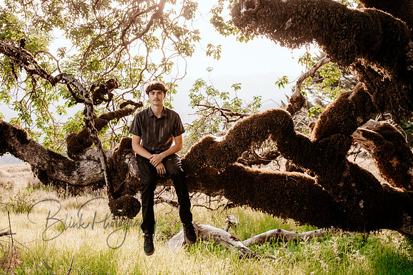 Gavin Senior-53