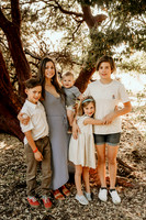 Zagantifamily-2