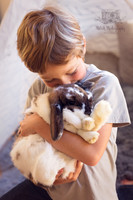 home page images