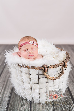Baby_Hazel-0098