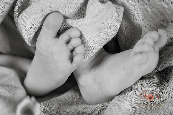 Baby_Hazel-0368-Edit