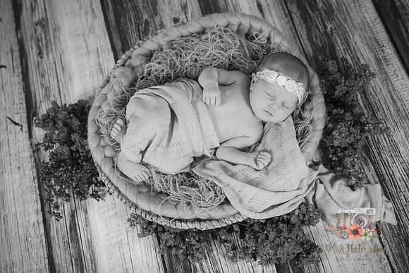 Baby_Hazel-0054-Edit-2