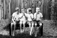 Cousins201827--2