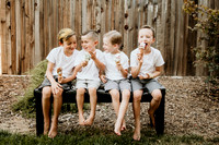 Cousins201827-