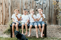 Cousins20188-