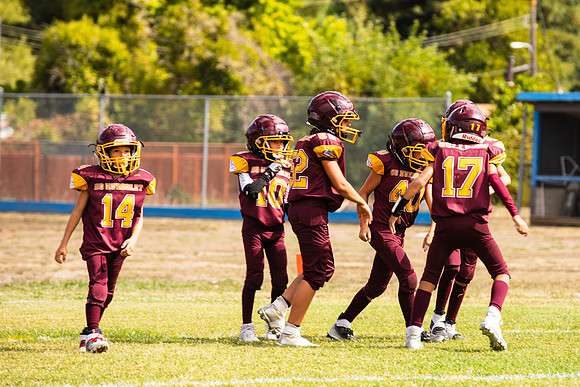 6J6A3674
