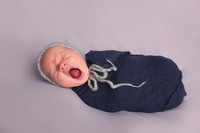 Baby Kannin-1