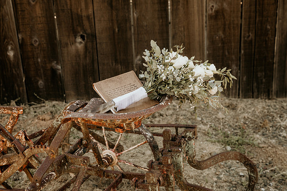 Bryce+Alexandra-283